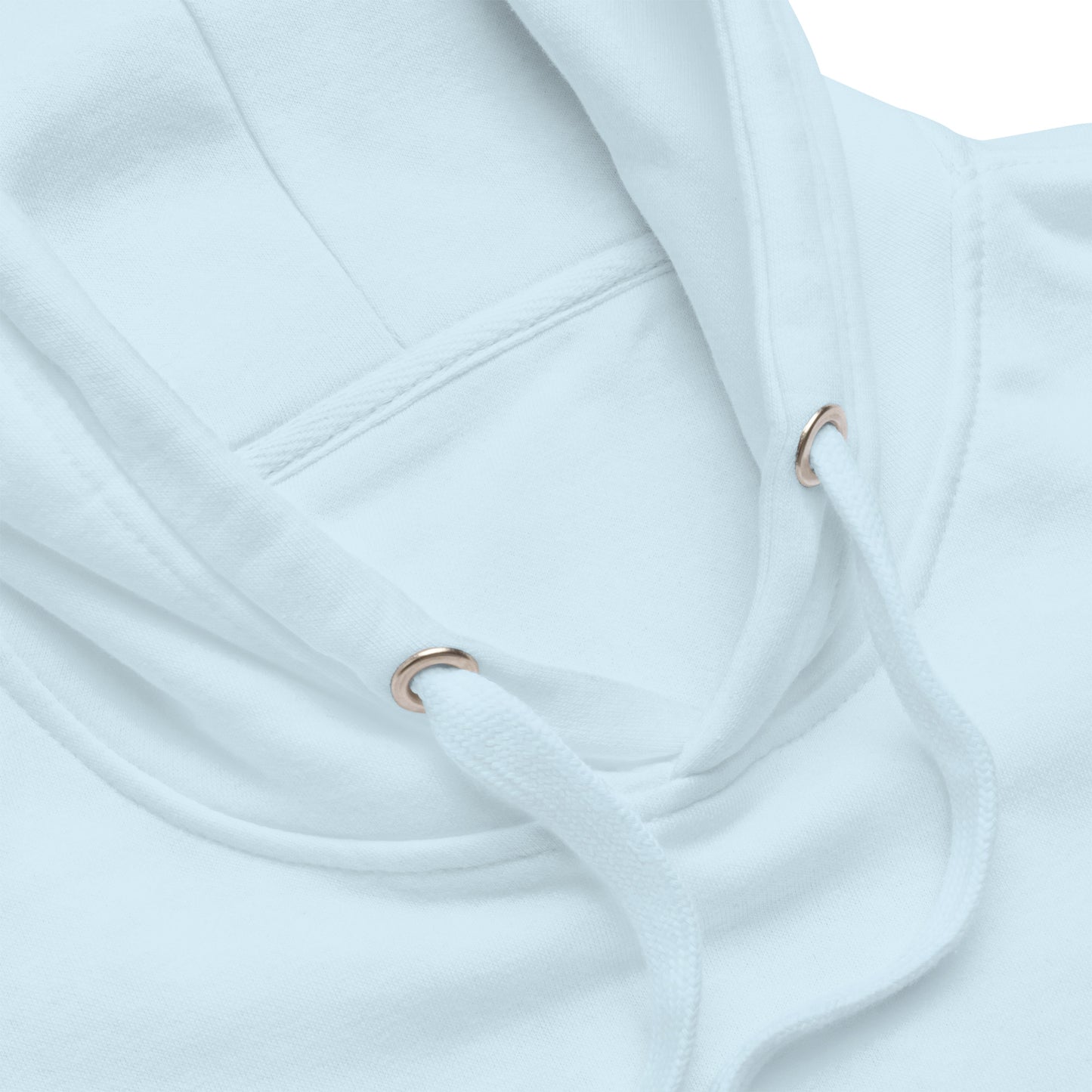 Anything Worth Having Takes Time Quality Cotton Heritage Adult Hoodie