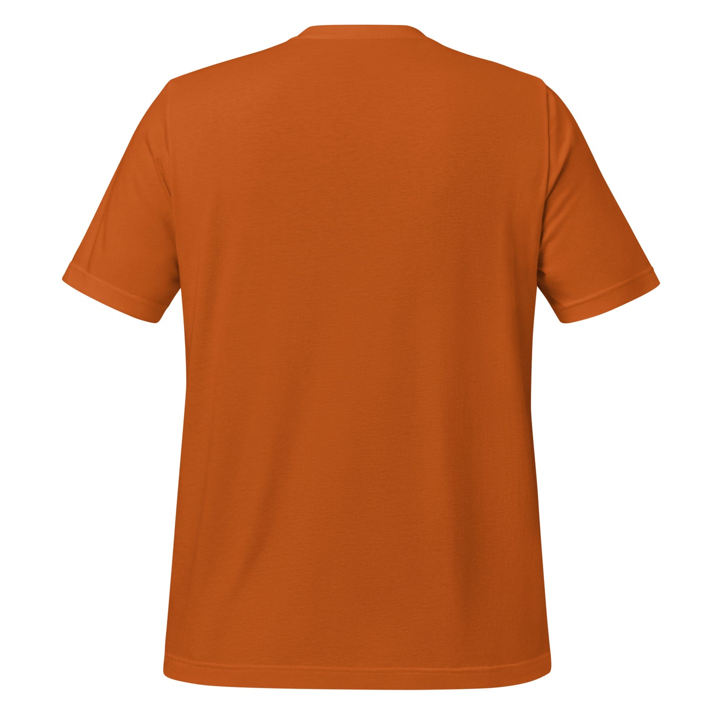 Today You Will Glow When You Show What You Know Teacher's Bella Canvas Adult T-Shirt