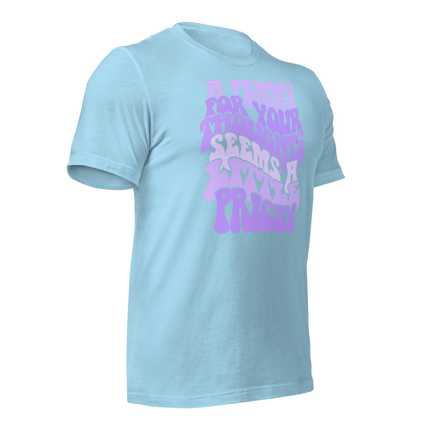 A Penny For Your Thoughts Seems A Little Pricey Funny Bella Canvas Adult T-Shirt