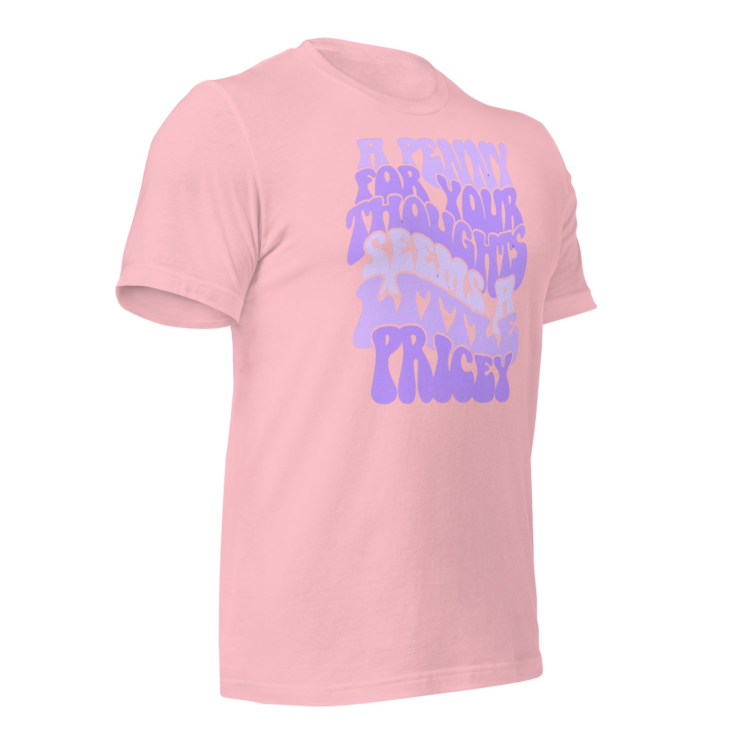 A Penny For Your Thoughts Seems A Little Pricey Funny Bella Canvas Adult T-Shirt