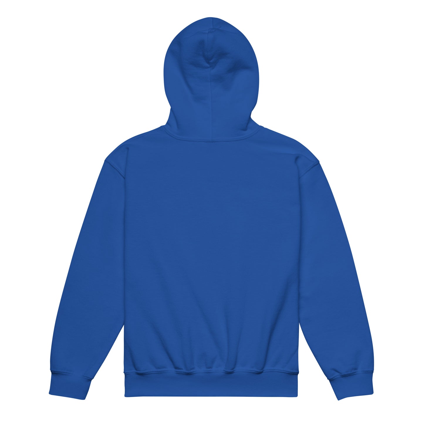Embrace Your Ignorance and Learn Something Classic Gildan Youth Hoodie