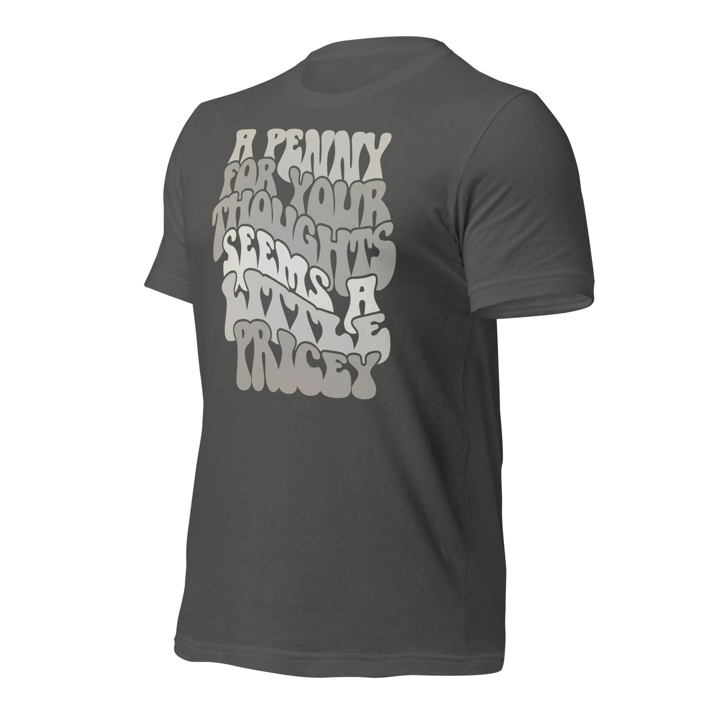 A Penny For Your Thoughts Seems A Little Pricey Funny Bella Canvas Adult T-Shirt