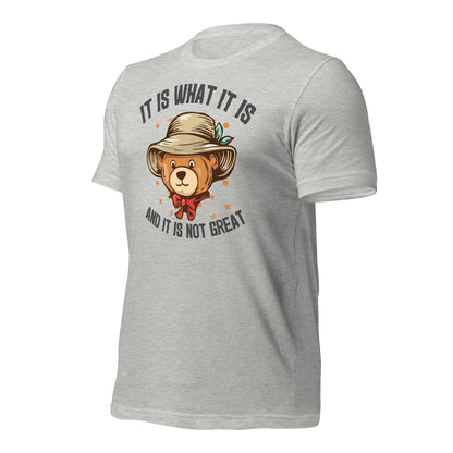 It Is What It Is, It's Not Great Quality Cotton Bella Canvas Adult T-Shirt