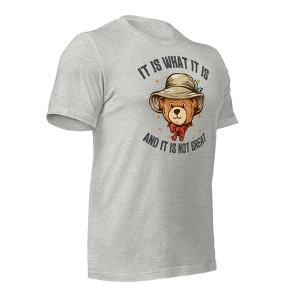 It Is What It Is, It's Not Great Quality Cotton Bella Canvas Adult T-Shirt