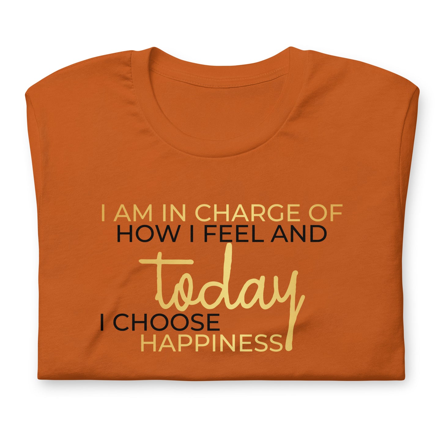 I Am in Charge of How I Feel Quality Cotton Bella Canvas Adult T-Shirt