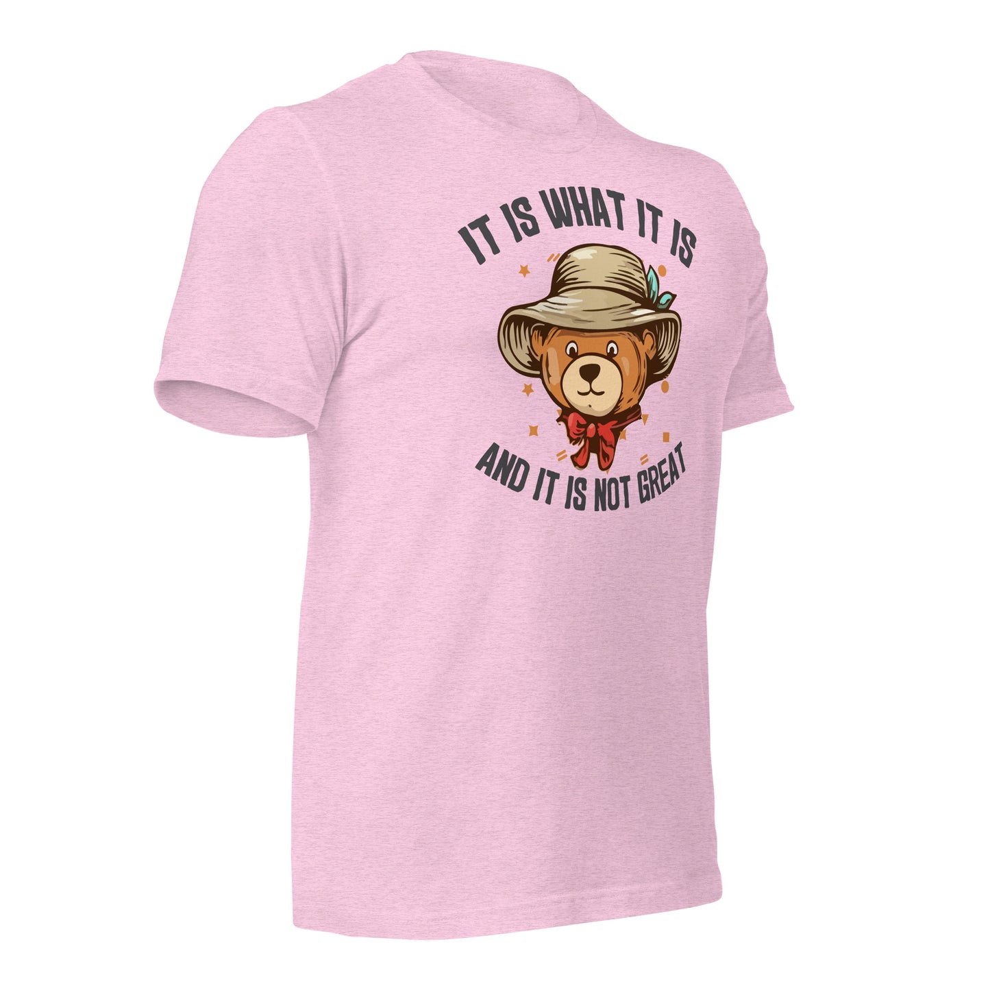 It Is What It Is, It's Not Great Quality Cotton Bella Canvas Adult T-Shirt