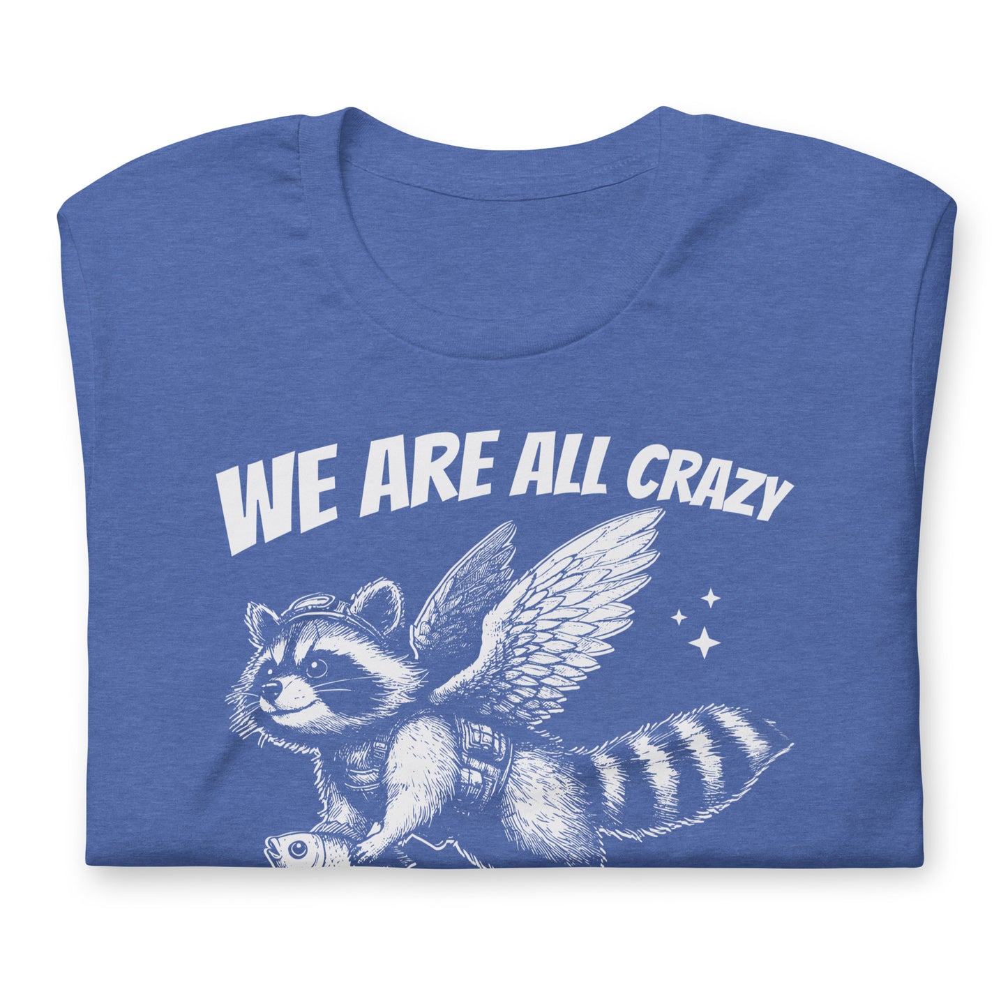 We Are All Crazy It's Not a Competition Funny Bella Canvas Adult T-Shirt