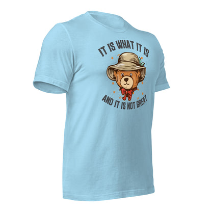 It Is What It Is, It's Not Great Quality Cotton Bella Canvas Adult T-Shirt