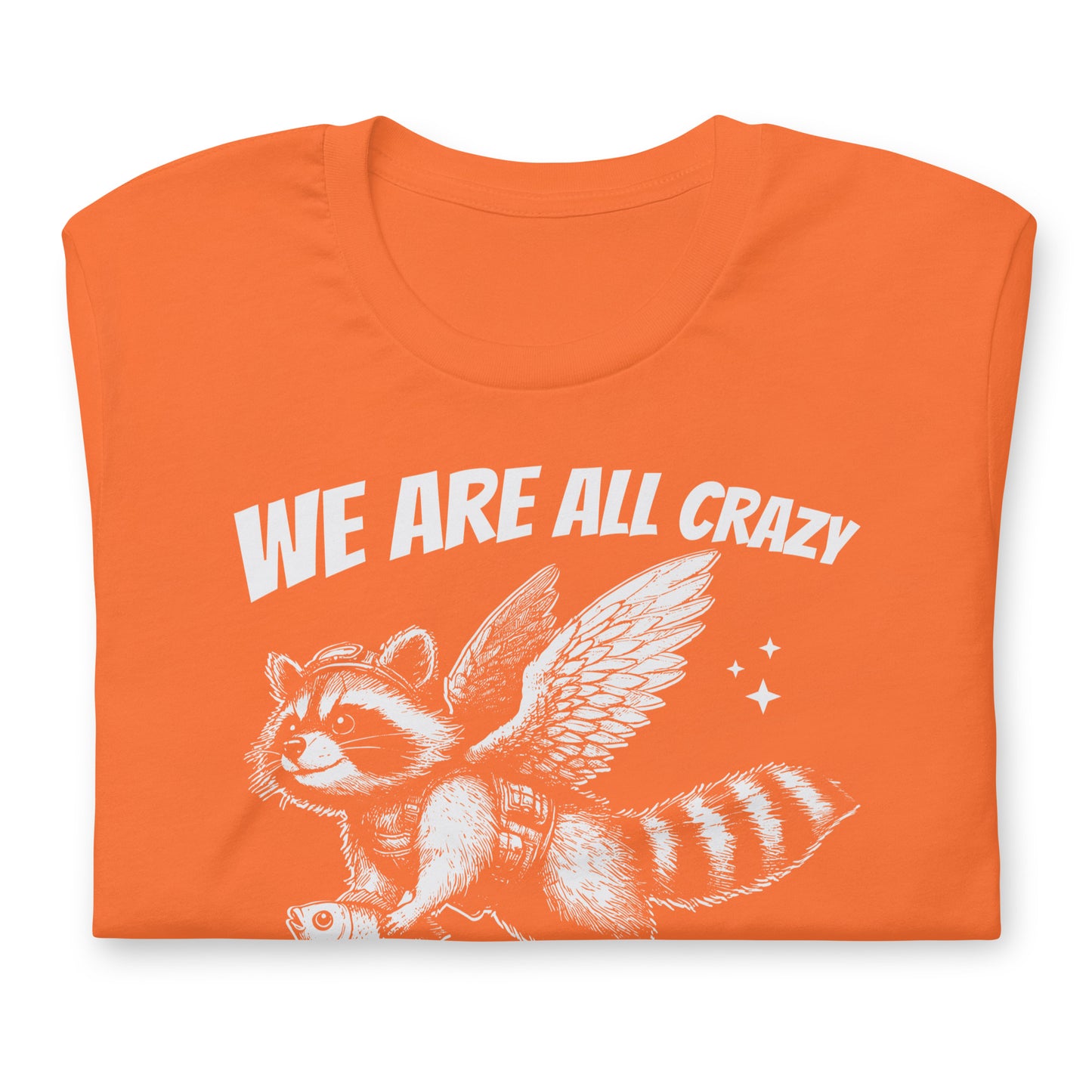 We Are All Crazy It's Not a Competition Funny Bella Canvas Adult T-Shirt