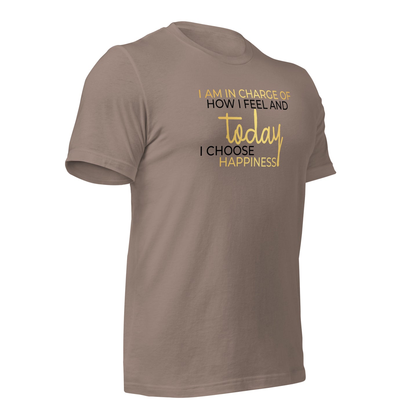 I Am in Charge of How I Feel Quality Cotton Bella Canvas Adult T-Shirt