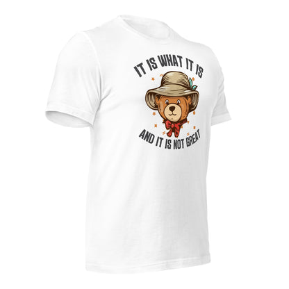 It Is What It Is, It's Not Great Quality Cotton Bella Canvas Adult T-Shirt